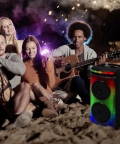 Επαναφορτιζόμενο φορητό ηχείο 20W με ενσύρματο μικρόφωνο και χειρισμό RF (2*6.5inch) V-TAC – 7676