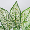 GloboStar® SYNGONIUM 78224 Τεχνητό Φυτό Συγγόνιο – Μπουκέτο Διακοσμητικών Φυτών – Κλαδιών με Φύλλωμα Πράσινο – Λευκό Υ37cm