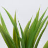 GloboStar® GREEN CORDYLINE 78230 Τεχνητό Φυτό Κορδιλύνη Πράσινη – Μπουκέτο Διακοσμητικών Φυτών – Κλαδιών με Φύλλωμα Πράσινο Υ33cm