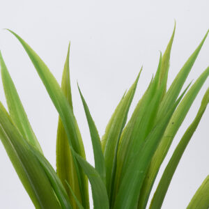 GloboStar® GREEN CORDYLINE 78230 Τεχνητό Φυτό Κορδιλύνη Πράσινη – Μπουκέτο Διακοσμητικών Φυτών – Κλαδιών με Φύλλωμα Πράσινο Υ33cm