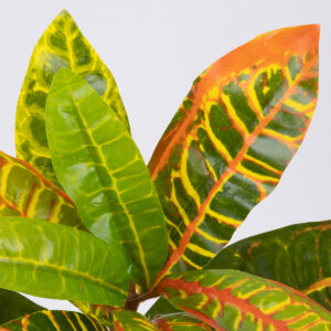 GloboStar® MIXED CROTON 78235 Τεχνητό Φυτό Κρότωνας Μιξ – Μπουκέτο Διακοσμητικών Φυτών – Κλαδιών με Φύλλωμα Πράσινο – Πορτοκαλί – Κίτρινο Υ35cm