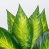 GloboStar® PEACE LILY 78277 Τεχνητό Φυτό Σπαθίφυλλο – Μπουκέτο Διακοσμητικών Φυτών – Κλαδιών με Φύλλωμα Πράσινο – Κίτρινο Υ33cm