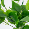GloboStar® WATER PLANTAIN 78284 Τεχνητό Φυτό Άλισμα – Μπουκέτο Διακοσμητικών Φυτών – Κλαδιών με Φύλλωμα Πράσινο Υ30cm
