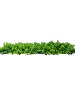 GloboStar® 78426 Artificial – Συνθετικό Τεχνητό Διακοσμητικό Πάνελ Φυλλωσιάς – Κάθετος Κήπος Λέιλαντ – Πράσινο Μ60 x Υ40 x Π9cm