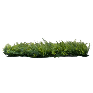 GloboStar® 78427 Artificial – Συνθετικό Τεχνητό Διακοσμητικό Πάνελ Φυλλωσιάς – Κάθετος Κήπος Νάνος Φτέρη – Γιασεμί – Πράσινο Μ60 x Υ40 x Π9cm