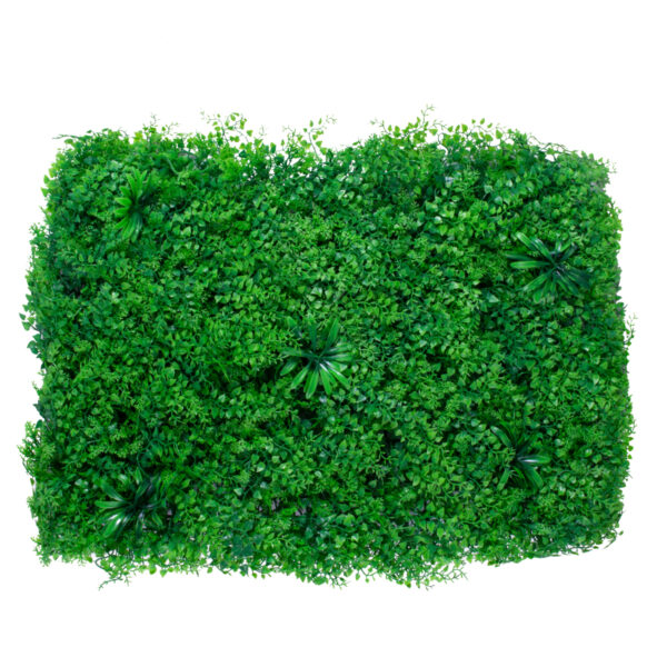 GloboStar® 78435 Artificial – Συνθετικό Τεχνητό Διακοσμητικό Πάνελ Φυλλωσιάς – Κάθετος Κήπος Φύλλα Αγγελικής – Πράσινο Μ60 x Υ50 x Π8cm