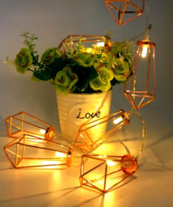 79806 Διακοσμητική Γιρλάντα Bronze Cone 5 Μέτρα με Διακόπτη On/Off – 40 LED 4W με Μπαταρίες 3xAA & Διάφανο Καλώδιο IP20 Θερμό Λευκό 2700K Μ5m