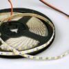 ΤΑΙΝΙΑ MINI LED 5M 10W 24V 4000K 120L/M IP20 PRO EUROLAMP – 145-73351