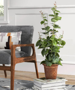 GloboStar® Artificial Garden SKIATHOS 20345 Διακοσμητικό Ψάθινο Καλάθι – Κασπώ Γλάστρα – Flower Pot Καφέ Φ24cm x Υ24cm