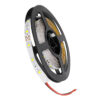 GloboStar® AVILA 90590 Ταινία LED 4.8W/m 300lm/m 120° DC 12V IP20 – 60 x SMD 3528 LED Chip/Μέτρο – Μ5000 x Π8 x Υ2mm – Ρολό 5 Μέτρων – Ψυχρό Λευκό 6000K – 2 Χρόνια Εγγύηση