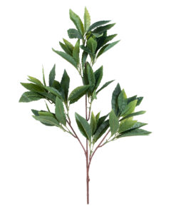 GloboStar® Artificial Garden LAURUS NOBILIS BRANCH 20225 10 x Τεχνητά Διακοσμητικά Κλαδία Δάφνης Π45 x Υ60cm