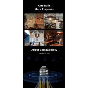 GloboStar® 80028 SONOFF B02-F-ST64-R2 – Wi-Fi Smart LED Filament Bulb E27 ST64 7W 700lm AC 220-240V CCT Change from 1800K to 5000K Dimmable 80028GS