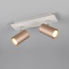 Πολύφωτο Οροφής/Τοίχου MARLEY Σποτ 2xGU10 Καφε & Γκρι Trio Lighting – 802400265