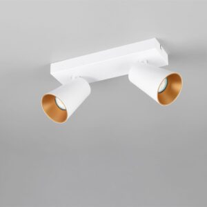 Πολύφωτο Σποτ Οροφής 2xGU10 Λευκό Trio Lighting – 817100231
