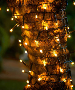 85807 Διακοσμητική Γιρλάντα 10 Μέτρων με Controller 8 Προγραμμάτων Φωτισμού – 100 LED 4W με Ενσωματωμένη Μπαταρία 600mAh – Φωτοβολταϊκό Πάνελ – Αισθητήρα Ημέρας-Νύχτας – Βάση Κήπου & Σκούρο Πράσινο Καλώδιο Αδιάβροχη IP65 Θερμό Λευκό 3000K Μ10m