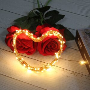 85842 Διακοσμητική Γιρλάντα 20 Μέτρα με Controller 8 Προγραμμάτων Εναλλαγών Φωτισμού – 200 LED 1.3W AC 230V με Χάλκινο Καλώδιο & Πρίζα Schuko Αδιάβροχη IP44 Θερμό Λευκό 3000K Μ20m