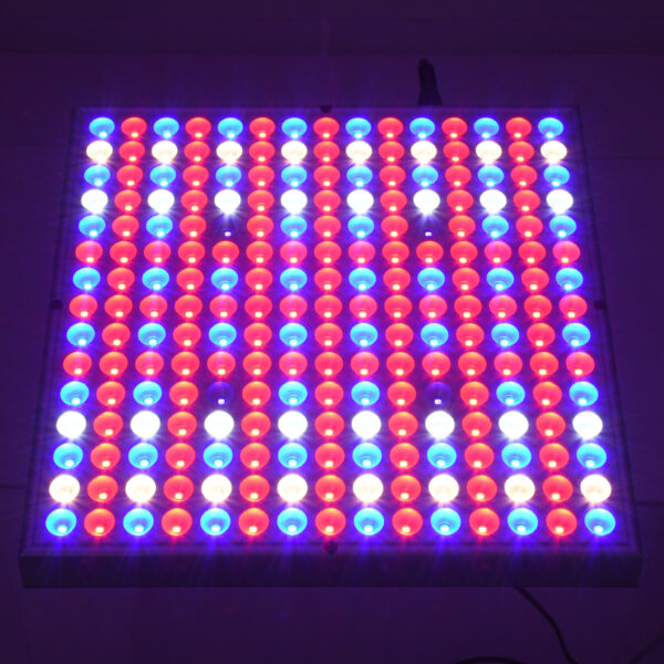 GloboStar® 85954 Grow Light Panel Full Spectrum LED Φωτιστικό Ανάπτυξης Φυτών Θερμοκηπίου SMD 2835 100W 160° AC230V IP54 Εσωτερικού Χώρου για Κάλυψη Επιφάνειας 1m x 1m Πλήρους Φάσματος Φωτισμού