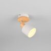 Σποτ Τοίχου/Οροφής SHANTI 1xE14 Γκρι και Ξύλο Trio Lighting – 862700176