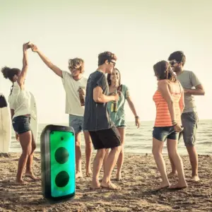 Φορητό Ασύρματο Ηχείο Bluetooth 40W με Μικρόφωνο V-TAC – 8990