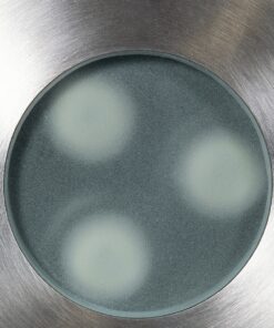 GloboStar® UNDERWATER-GUNE 90406 Υποβρύχιο Χωνευτό Φωτιστικό Σποτ Ειδικό για Σιντριβάνια LED 12W 1020lm 60° DC 24V Αδιάβροχο IP68 Φ10 x Υ7.5cm RGBW DMX512 – Ανοξείδωτο Ατσάλι – 3 Years Warranty