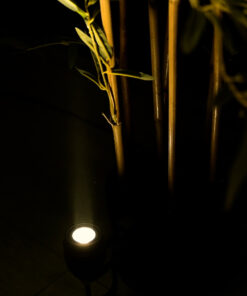 GloboStar® TREELIGHT-TREEGAL 90461 Σποτ Φωτισμού Ειδικό για Φυτά – Δέντρα με Βάση Μπετού & Κορμού LED 3W 330lm 15° DC 24V Αδιάβροχο IP67 Φ5 x Υ14.7cm Θερμό Λευκό 2700K – Γκρι Ανθρακί – 3 Years Warranty