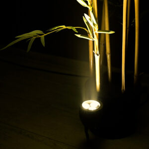 GloboStar® TREELIGHT-TREESPO 90465 Σποτ Φωτισμού Ειδικό για Φυτά – Δέντρα LED 6W 660lm 15° DC 24V Αδιάβροχο IP67 Μ6.6 x Π9 x Υ12cm Θερμό Λευκό 2700K – Γκρι Ανθρακί – 3 Years Warranty