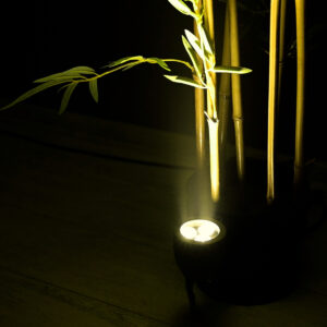 GloboStar® TREELIGHT-TREESPO 90466 Σποτ Φωτισμού Ειδικό για Φυτά – Δέντρα LED 6W 690lm 15° DC 24V Αδιάβροχο IP67 Μ6.6 x Π9 x Υ12cm Φυσικό Λευκό 4500K – Γκρι Ανθρακί – 3 Years Warranty