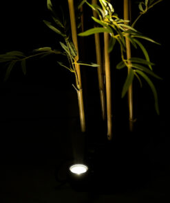 GloboStar® TREELIGHT-TREEDITA 90475 Σποτ Φωτισμού Ειδικό για Φυτά – Δέντρα LED 3W 345lm 8° DC 24V Αδιάβροχο IP67 Μ5.7 x Π6.5 x Υ9.8cm Φυσικό Λευκό 4500K – Γκρι Ανθρακί – 3 Years Warranty