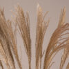 GloboStar® MISCANTHUS 36539 Αποξηραμένο Φυτό Μίσχανθος – Μπουκέτο Διακοσμητικών Κλαδιών Μπεζ Υ140cm