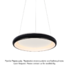 ΚΡΕΜΑΣΤΟ Φ/Σ LED 45W DIMMER CCT 3600LM ΜΑΥΡΟ ΜΕΤΑΛΛΙΚΟ D61XH120CM DIANA ACA – BR71LEDP61BKCCTD