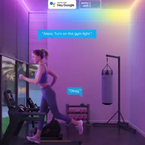 Govee H61E1 Smart LED Ταινία 5m RGBICW M1 1.SH.01.G004