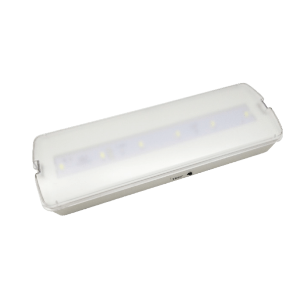 LED Φωτιστικό Ασφαλείας 4W ACA 200lm Ψυχρό 6000K - HAPES463M