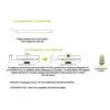 LED Λάμπα T8 G13 150cm 22W V-TAC PRO Samsung Chip 160° 2000lm Θερμό 3000K – 656