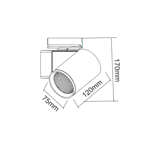 Φωτιστικό Ράγας LED Μαύρο 20W 3000K 2 Καλωδίων  38° 2200lm ACA – LISOR2030B2N