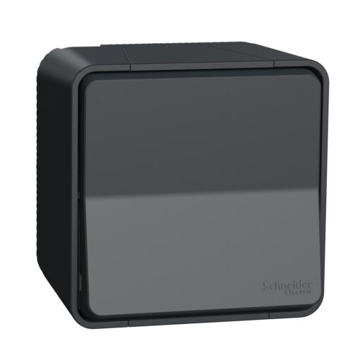 Schneider Mureva Styl διακόπτης με κλειδί 3 θέσεων Ανθρακί IP55 – MUR35061