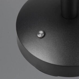Reality – R54541132