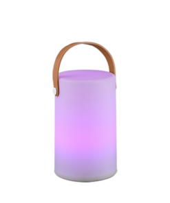 Πορτατίφ Reality LED 1W Λευκό Πλαστικό Επαναφορτιζόμενο 70lm RGBW 3000K IP44 R57080101