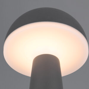 Επαναφορτιζόμενο Πορτατιφ Ανθρακί FUNGO LED 2W 200lm CCT Dimmable Αφής με Ασύρματη Βάση Φόρτισης Reality – R57716142