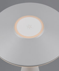 Επαναφορτιζόμενο Πορτατιφ Γκρι TORREZ LED 2W 180lm CCT Dimmable Αφής Reality – R57726177