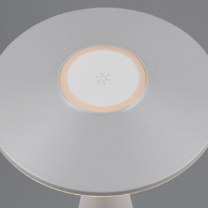 Επαναφορτιζόμενο Πορτατιφ Γκρι TORREZ LED 2W 180lm CCT Dimmable Αφής Reality – R57726177