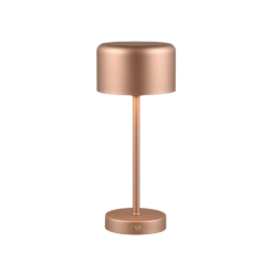 Επιτραπέζιο Φωτιστικό Trio Lighting LED 1.5W 3000K Καφέ Χρώματος Επαναφορτιζόμενο Step Dimmable – R59151165