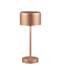 Επιτραπέζιο Φωτιστικό Trio Lighting LED 1.5W 3000K Καφέ Χρώματος Επαναφορτιζόμενο Step Dimmable – R59151165