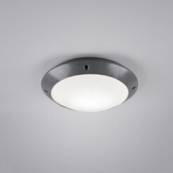 Φωτιστικό Οροφής Reality E27 Ανθρακί Πλαστικό IP54 R60501042