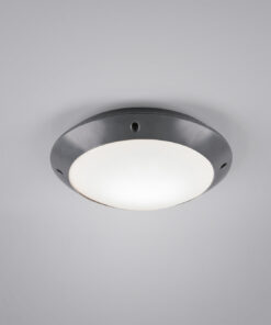 Φωτιστικό Οροφής Reality E27 Ανθρακί Πλαστικό IP54 R60501042