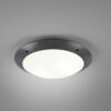 Φωτιστικό Οροφής Reality   2xE27 Ανθρακί Πλαστικό   IP54 R60502042