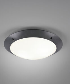 Φωτιστικό Οροφής Reality 2xE27 Ανθρακί Πλαστικό IP54 R60502042