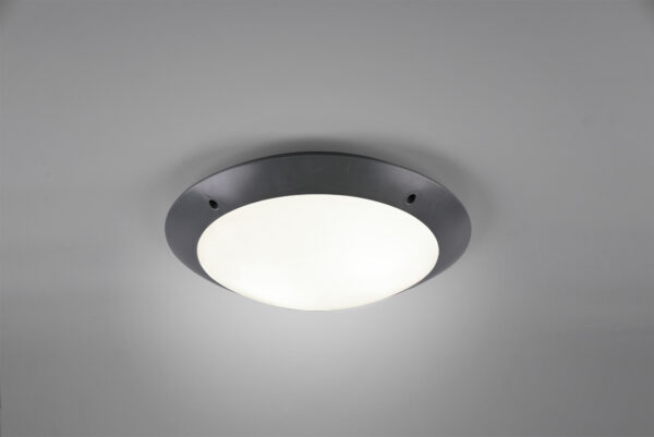 Φωτιστικό Οροφής Reality   2xE27 Ανθρακί Πλαστικό   IP54 R60502042