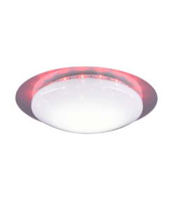 Φωτιστικό Οροφής Reality LED 13W Λευκό Πλαστικό Dimmable 1000lm 2700 – 5500K R62093500