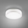 Φωτιστικό Οροφής Reality LED 12W  Λευκό Ματ Πλαστικό 1000lm 3000K IP54 R62151131