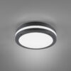 Φωτιστικό Οροφής Reality LED 12W  Ανθρακί Πλαστικό 1000lm 3000K IP54 R62151142